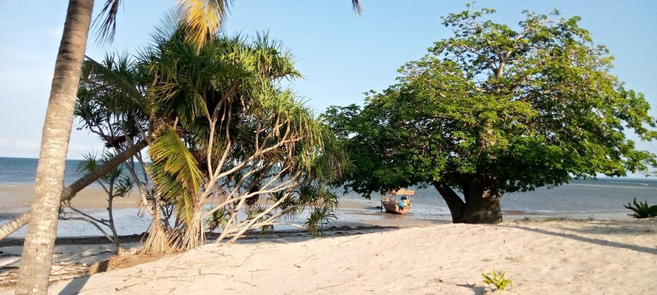 Funky Squids Beach Resort Bagamoyo Eksteriør billede